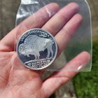 1oz Silver Coin