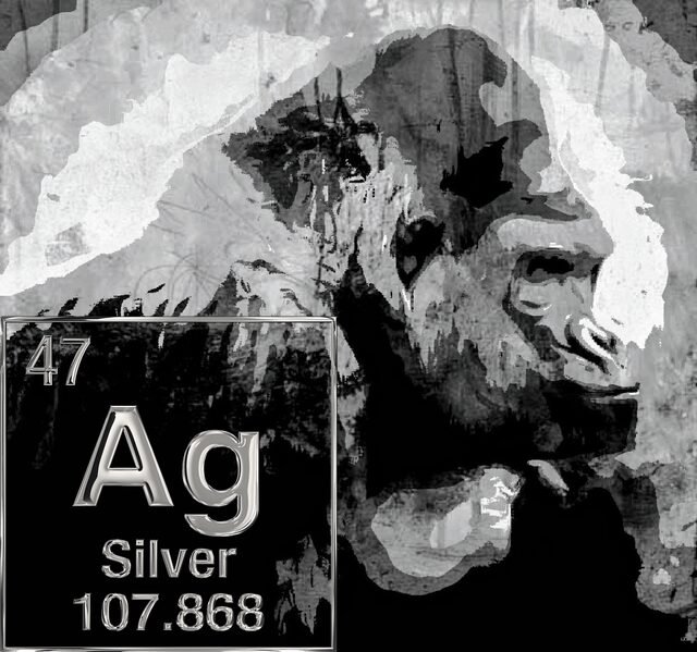 Will silver hit $75 by year end?
